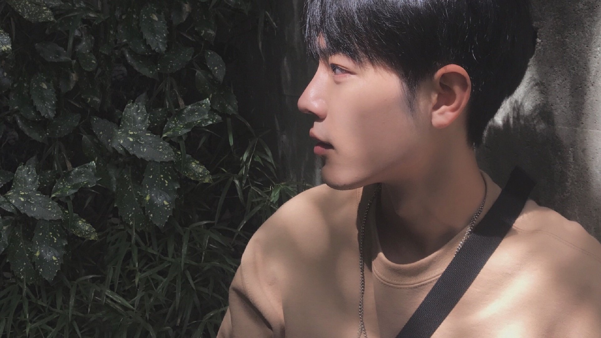 数据核爆之夜，巴雷拉的完美风暴