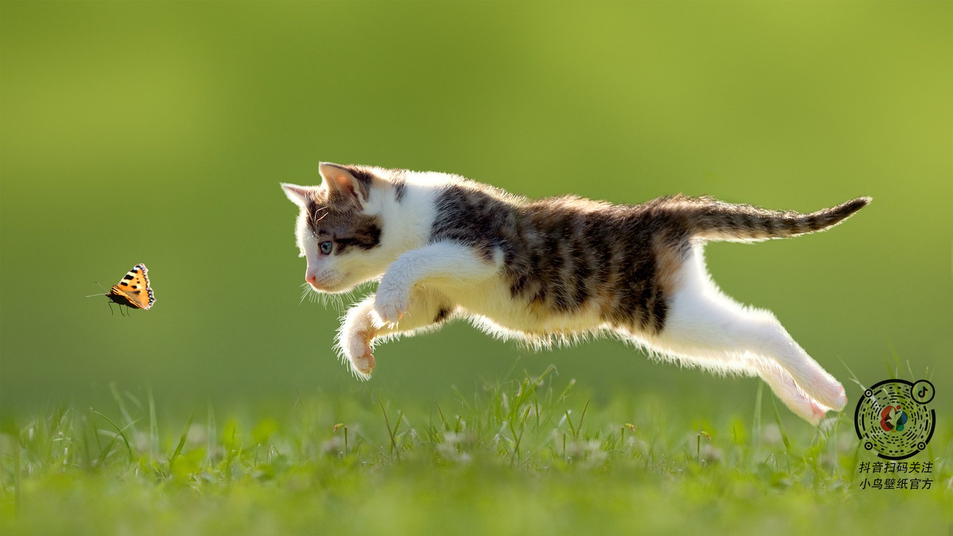 防线撕裂者！霍勒迪单兵爆破，国王固若金汤的体系在他面前轰然倒塌