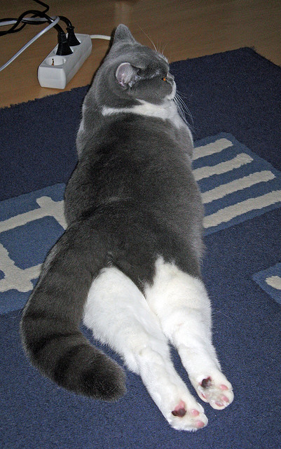 孔德补时戴帽！瑞士神锋血洗莱比锡，德甲豪强凌晨惊魂