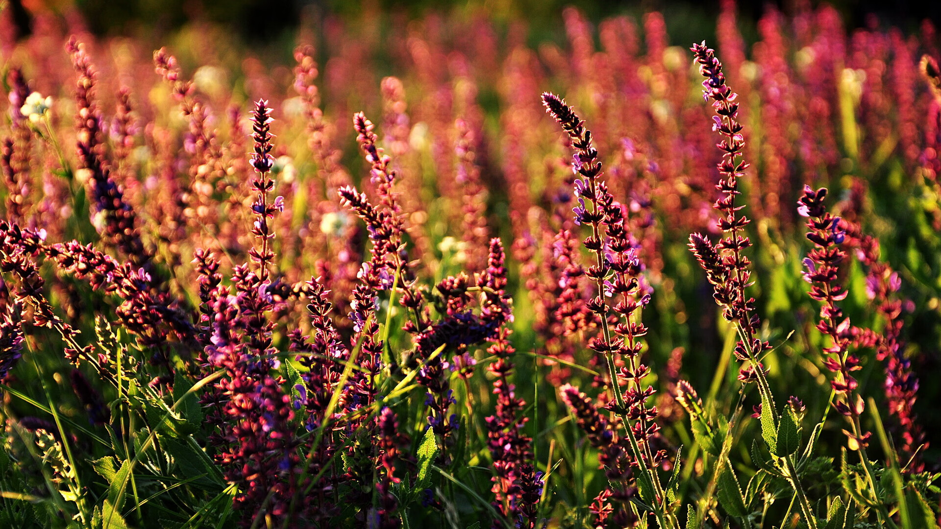 教科书级表现,英格拉姆闪耀欧冠决赛之夜