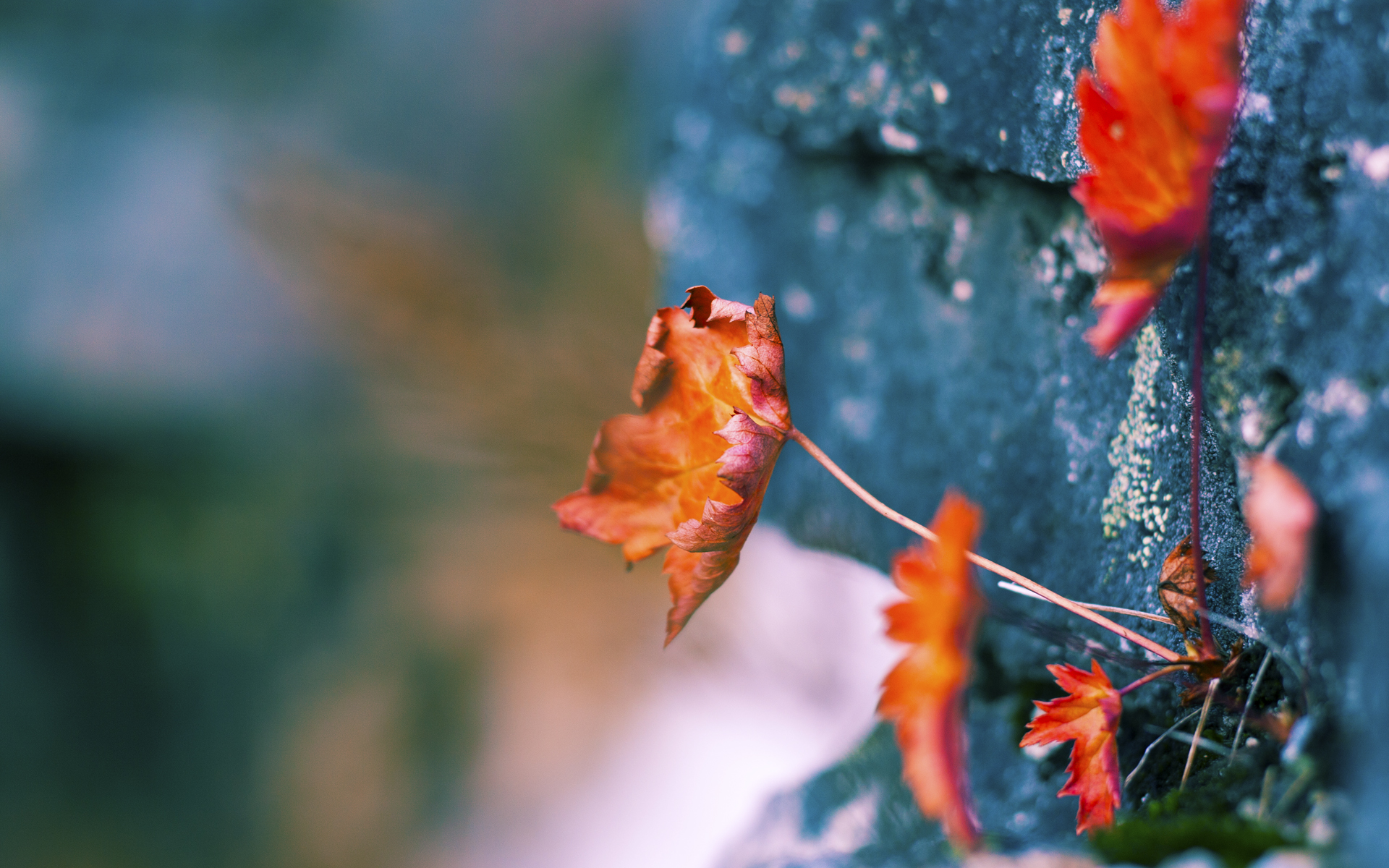 火力全开!马赛压制巴萨,福登掌控全场
