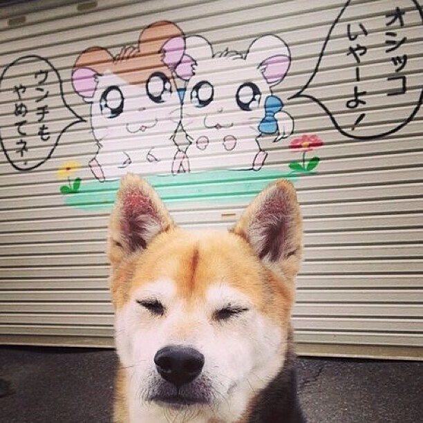 佩德里单节18分导演逆转风暴 苏格兰第三节窒息防守击溃毕尔巴鄂