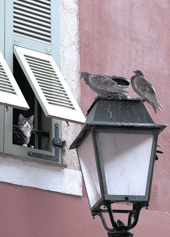 数据碾压与精神胜利,雄鹿狂胜湖人背后,伦纳德用另一种方式定义爆发