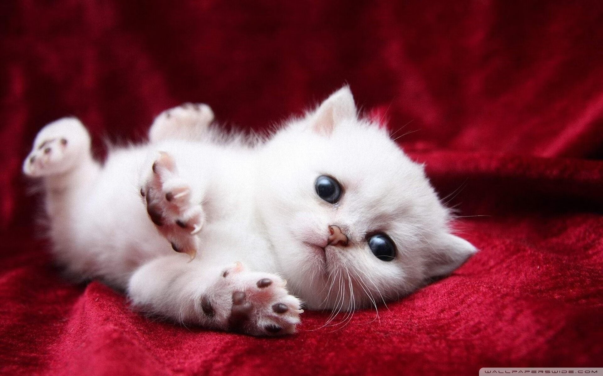 巨浪吞噬孤岛，总决赛的天平为何倾覆？