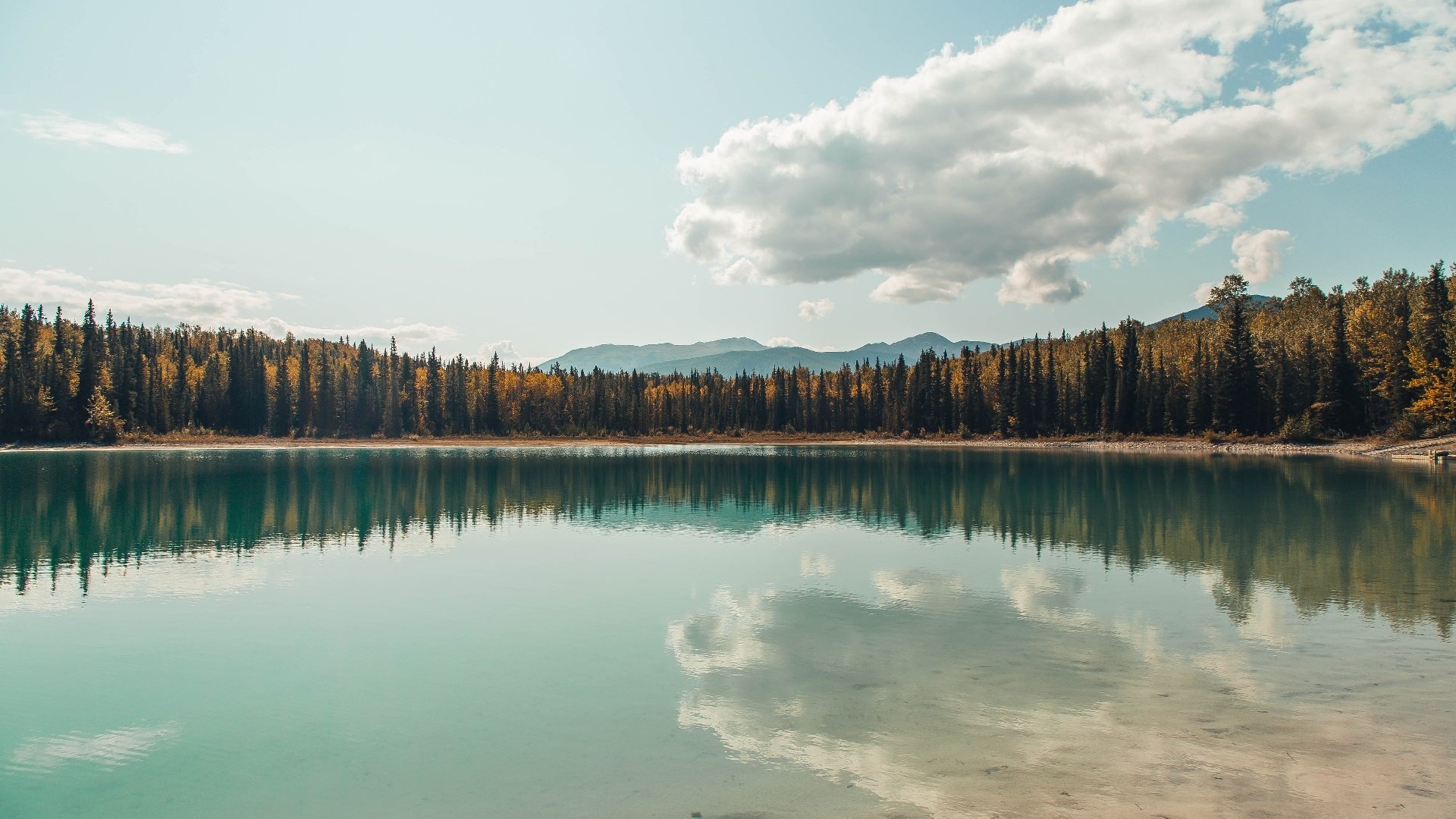 文班亚马致命一击！热火逆转太阳，1.8亿先生自我救赎！
