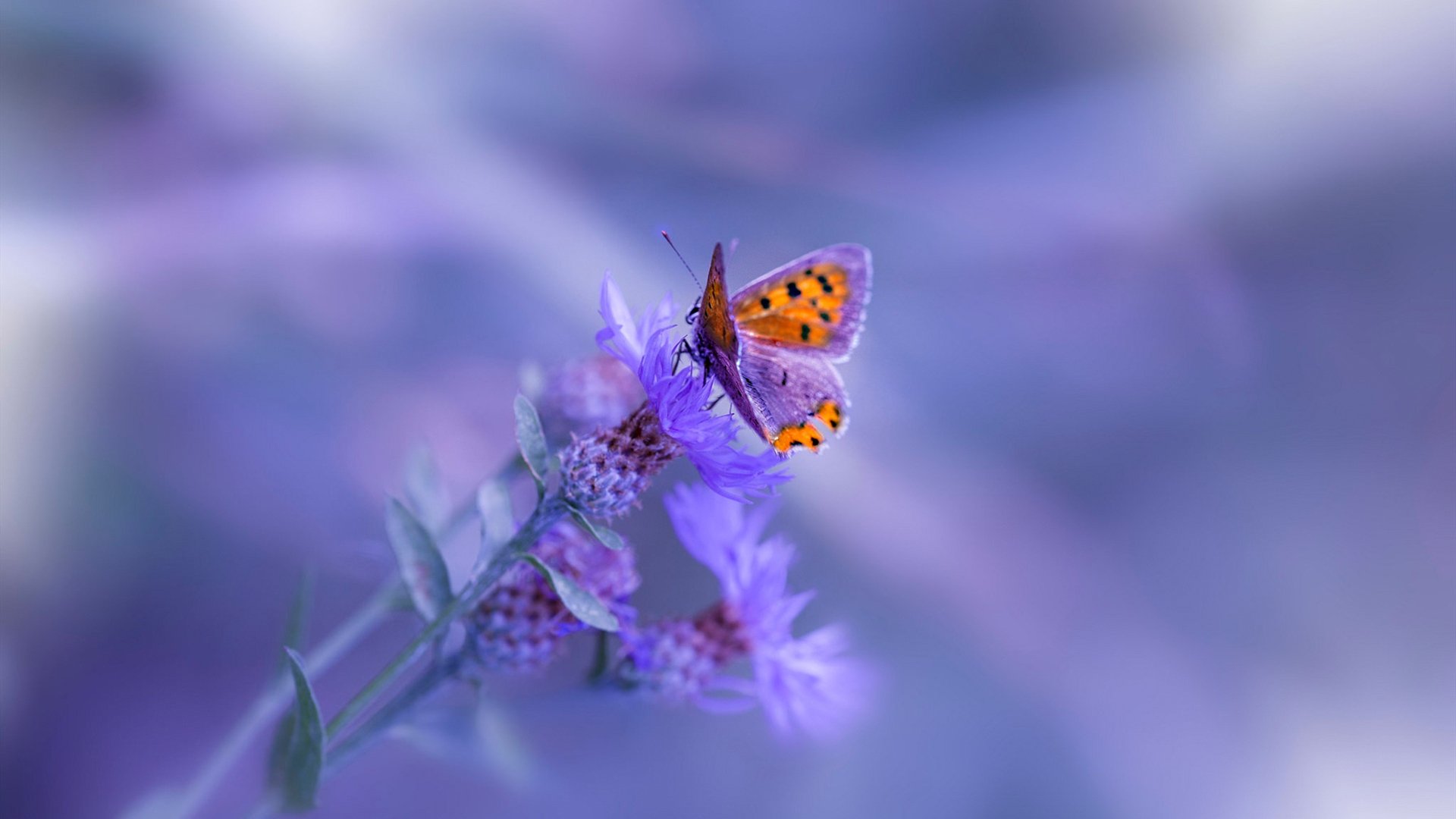 史诗逆转！比利亚雷亚尔终场绝杀勒沃库森