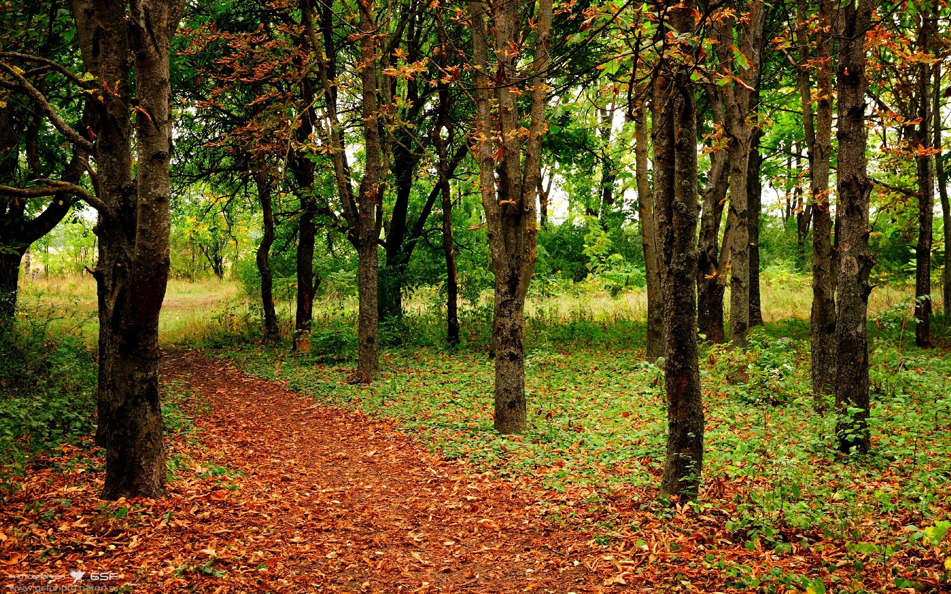 冰与火的较量，维尼修斯如何用桑巴魔法点燃乌克兰寒夜