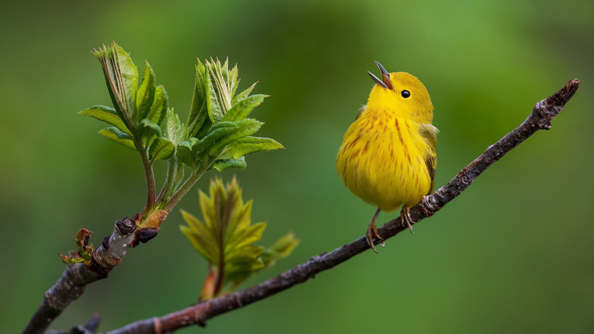 赛道与绿茵场，在极速攻防中探寻胜负的本质